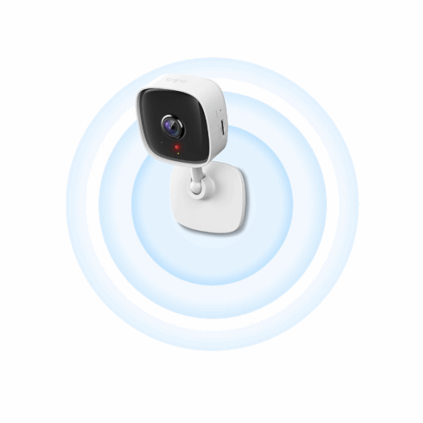 Camera TP-Link Tapo C110